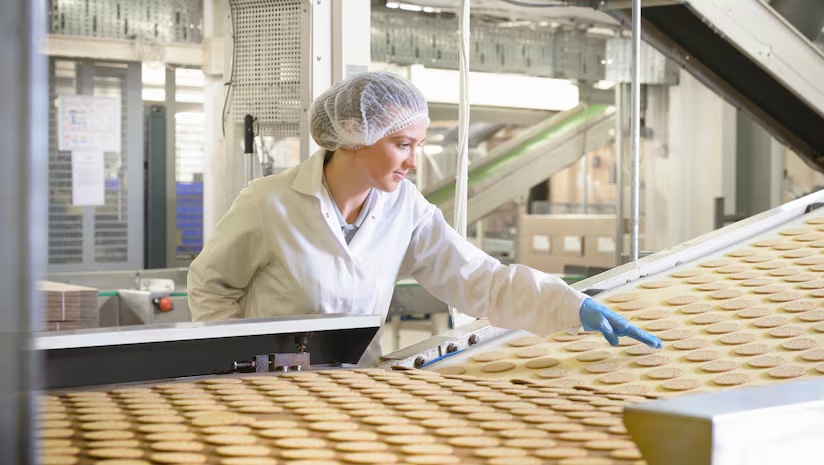 Medewerker in witte jas, haarnet en blauwe handschoen bekijkt rijen koekjes op een transportband in een voedselproductielijn